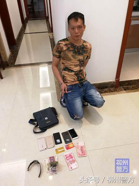 香港今期开什么码，揭秘特马背后的文化与期待—一种独特的数字游戏体验