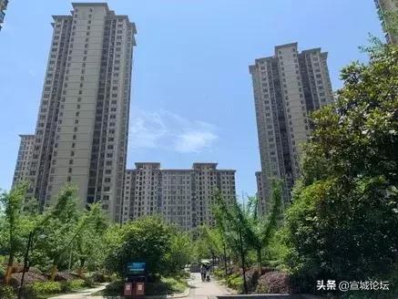 钱多多心水论坛，投资理财的智慧宝库