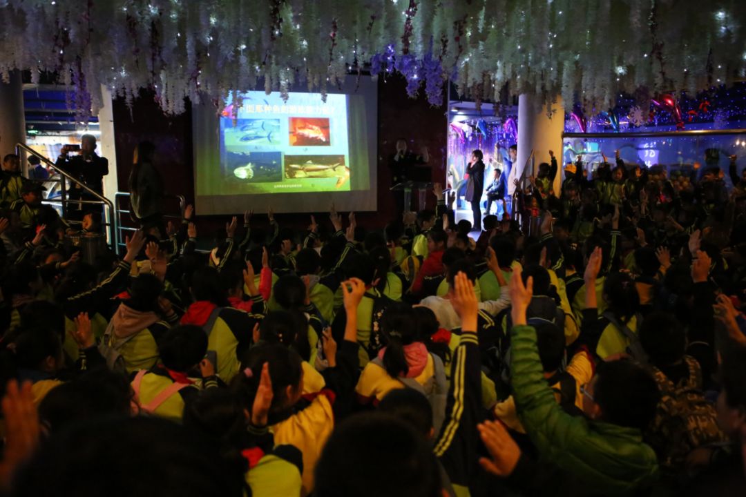 探索香港今期彩票开奖的奥秘与文化