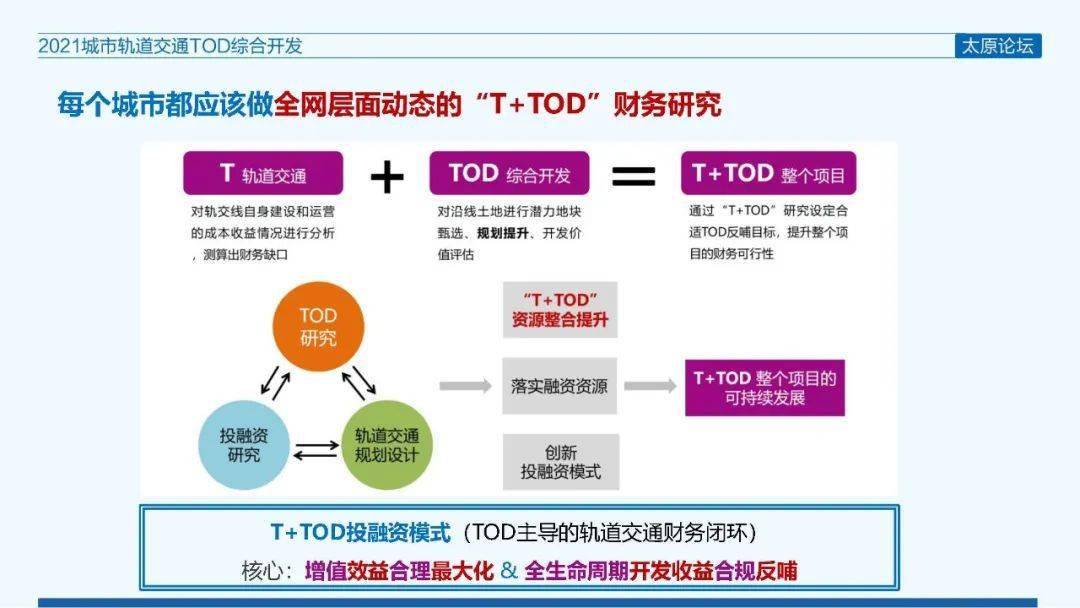 探索期四肖选一的奥秘，理性与直觉并行的投注策略