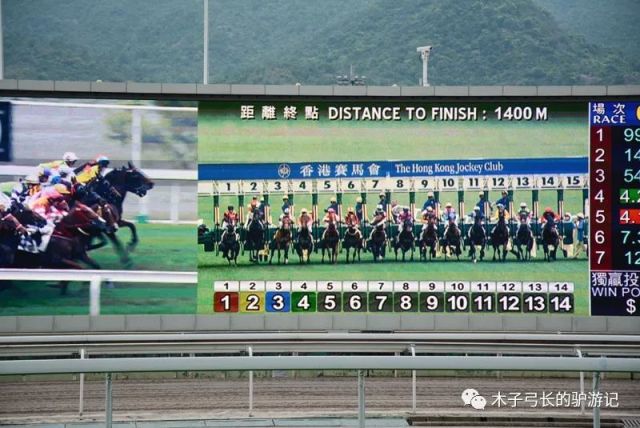 探索香港全年资料马会大全，赛马的魅力与文化深度