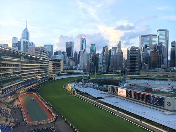 探索香港彩票新动向，揭秘今期开什么的奥秘