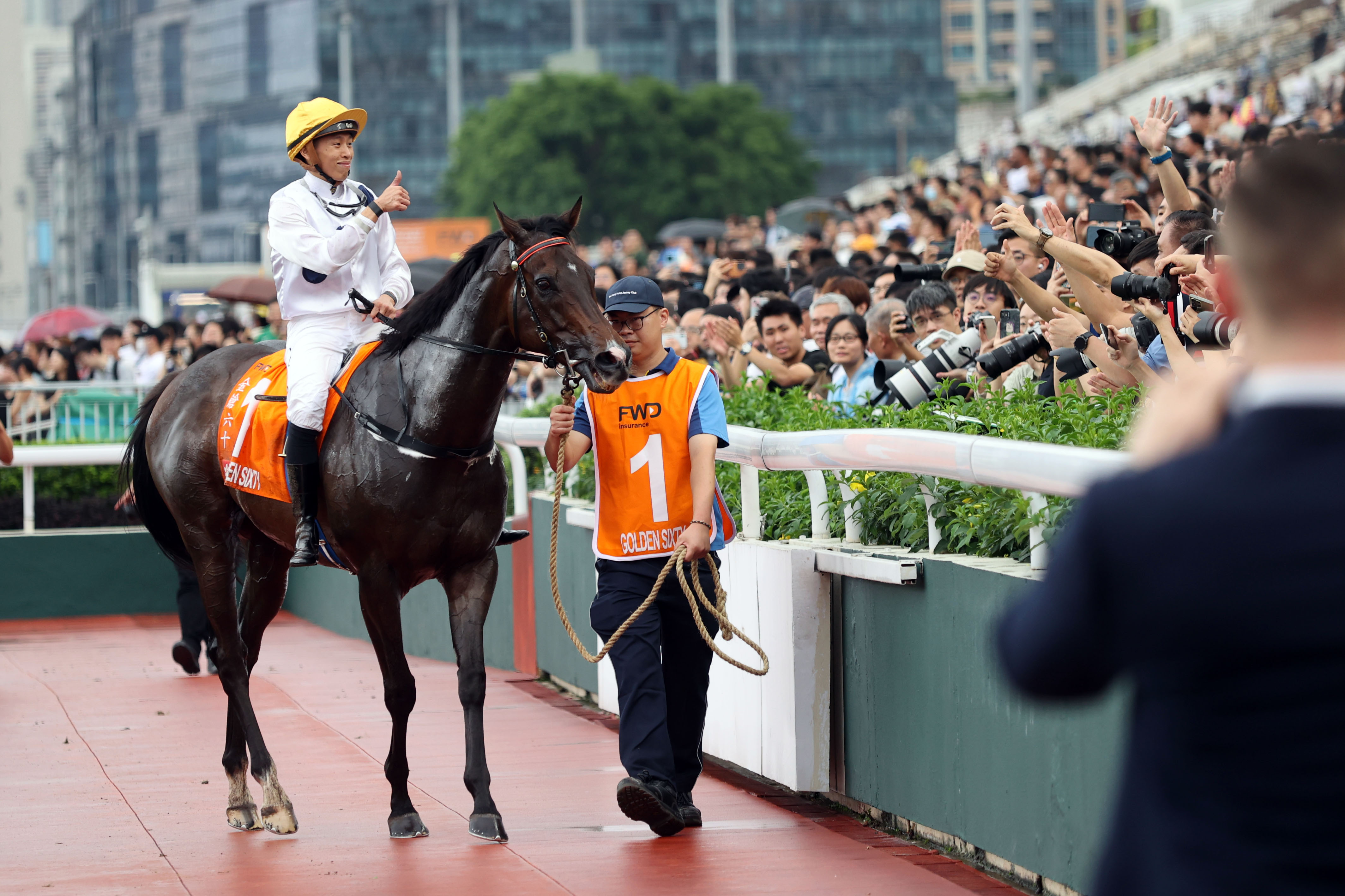 探索香港全年资料马会大全，赛马的激情与文化