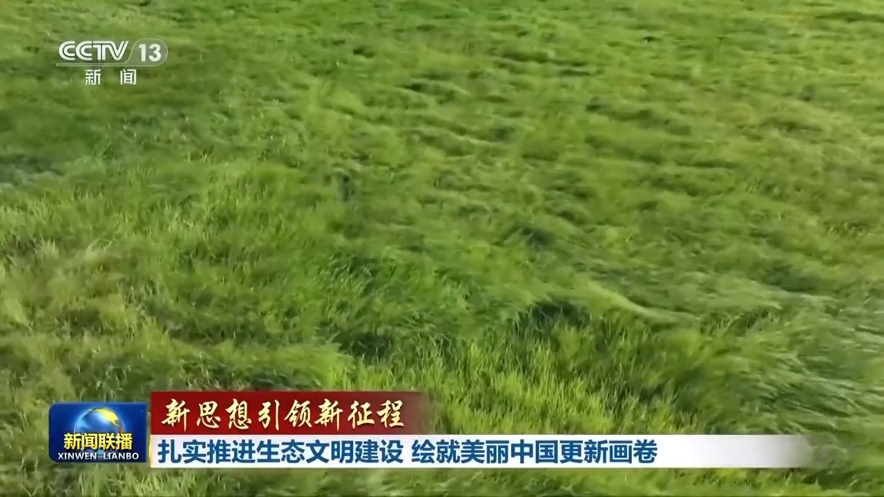 菠菜网，互联网时代的绿色新生态