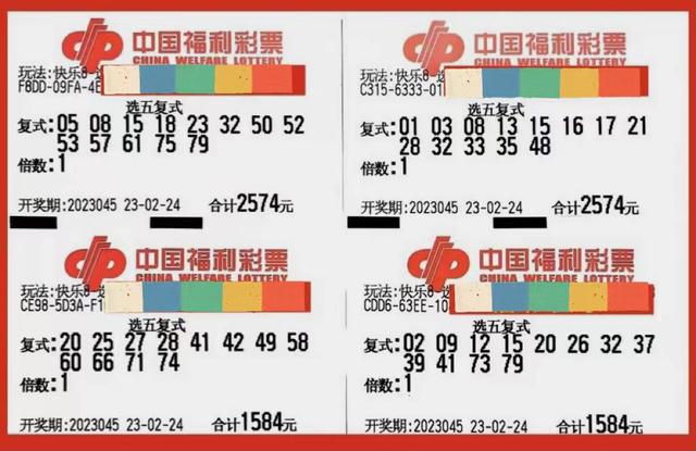 探索期四肖选一的奥秘，理性与直觉在彩票选择中的较量