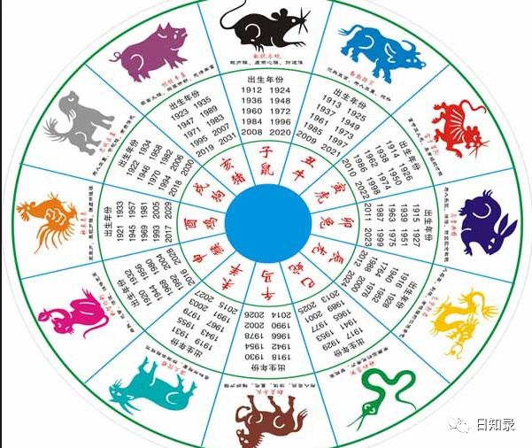 探索香港正版马会精选资料大全，揭秘赛马的智慧与乐趣