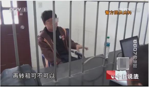 揭秘新澳204今晚开奖结果，一场数字游戏的背后与期待