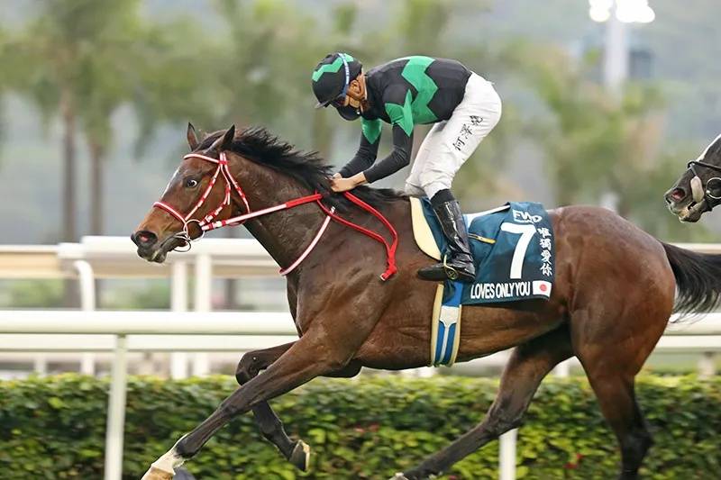 2021年香港马内部免费资料