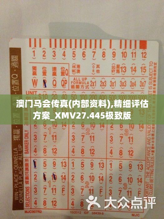 探索正版马会传真资料的魅力与价值