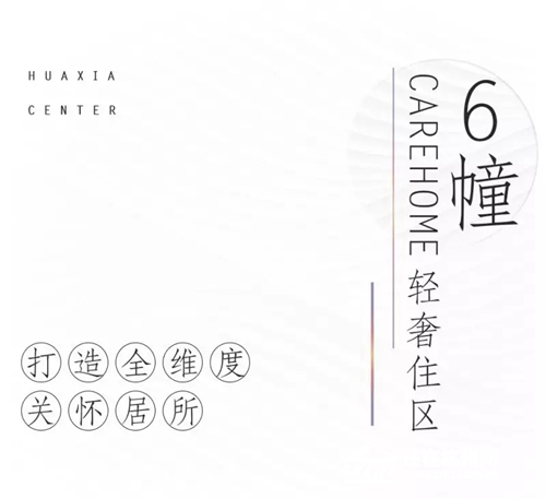 探索数字奥秘，二肖与码的长期免费公开之旅