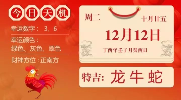 今晚一肖中特，揭秘生肖预测的奥秘与理性态度