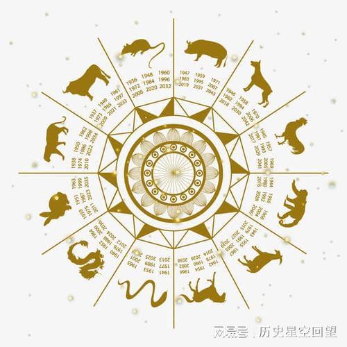 今晚一肖中特，揭秘生肖预测的奥秘与理性思考
