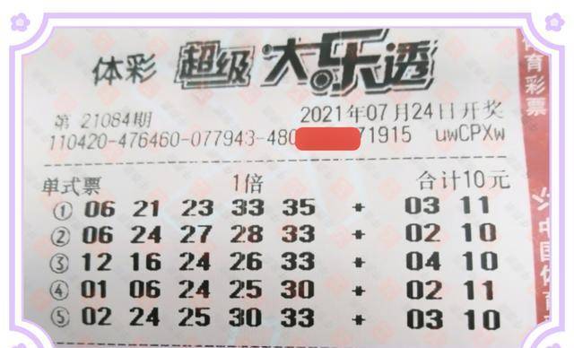 2046新澳门天天开好彩大全正版，揭秘彩票背后的真相与理性投注