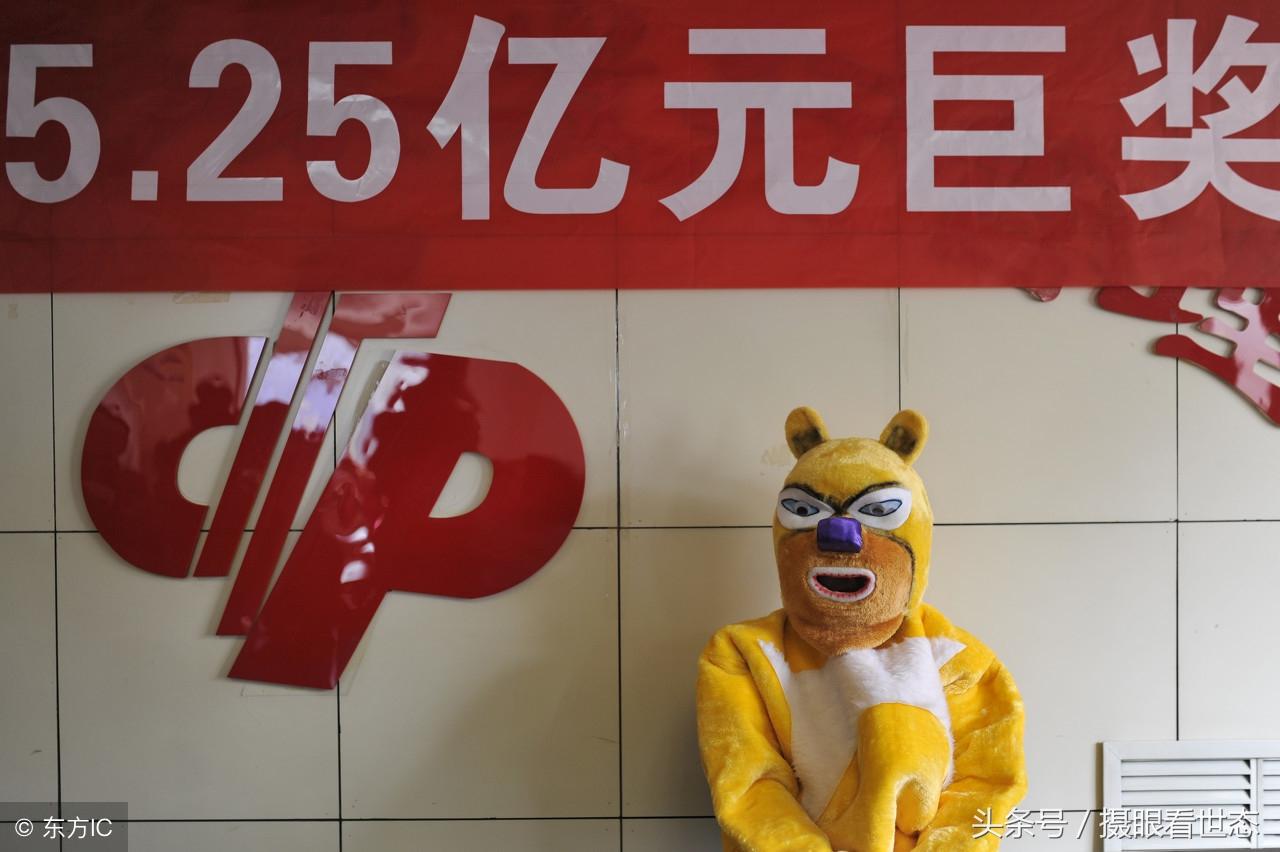 探寻幸运之光，中国福利彩票中奖号码查询结果全解析
