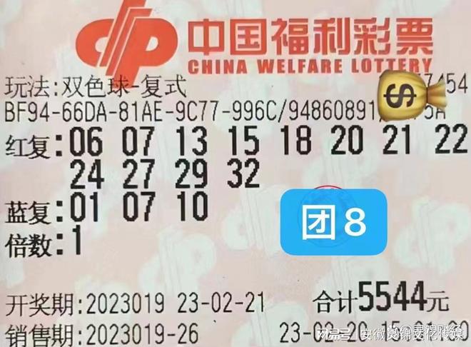 2019年第7期双色球开奖结果，梦想与幸运的碰撞