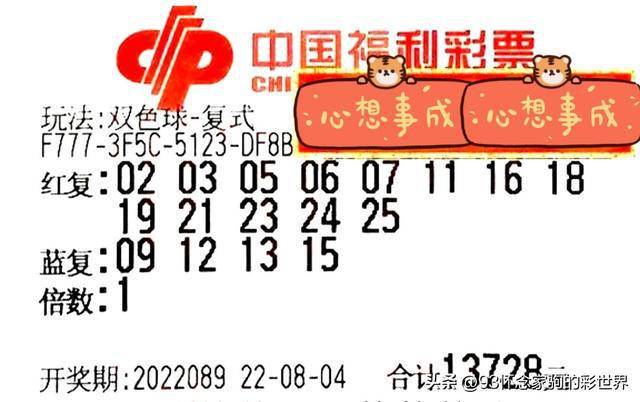 2065期双色球开奖结果揭晓，幸运数字照亮梦想之路