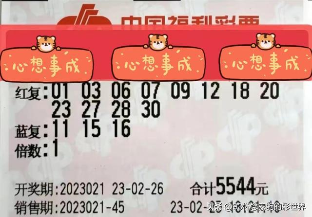 今日双色球彩票结果揭晓，梦想与幸运的碰撞