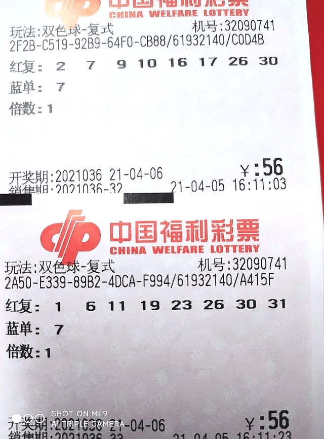 2049，双色球开奖结果揭晓，彩民期待与惊喜并存