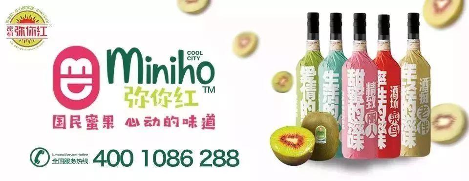 今日双色球中奖号码揭晓，幸运降临的背后与期待