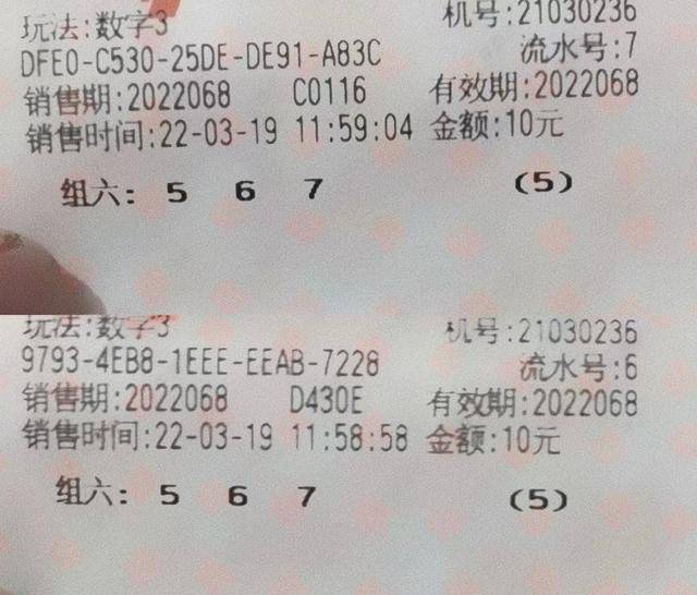 彩票3D字谜，解密数字背后的奥秘与乐趣