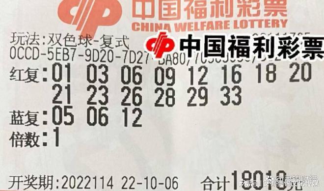 2013年双色球第4期，梦想与奇迹的碰撞—揭秘开奖结果