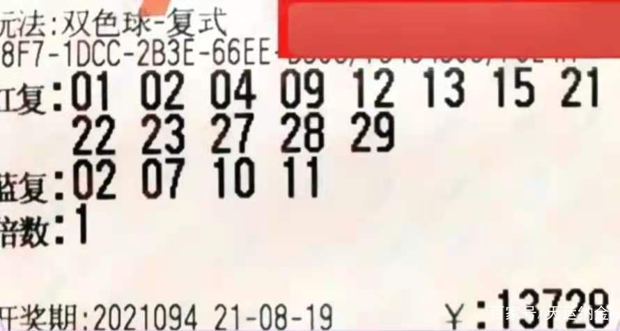 2031年双色球第6期，梦想与幸运的碰撞—揭秘开奖结果