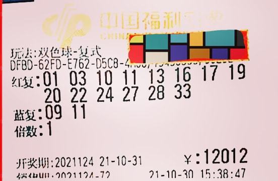 2013年双色球第45期开奖揭晓，梦想与幸运的碰撞