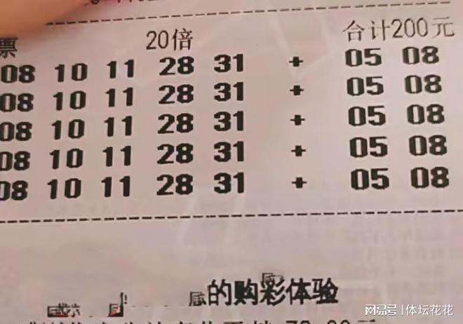 大乐透数字奥秘