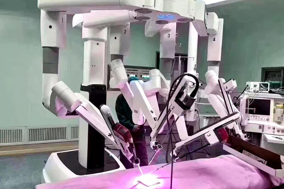 3D走势图，浙江风采的数字艺术与未来展望