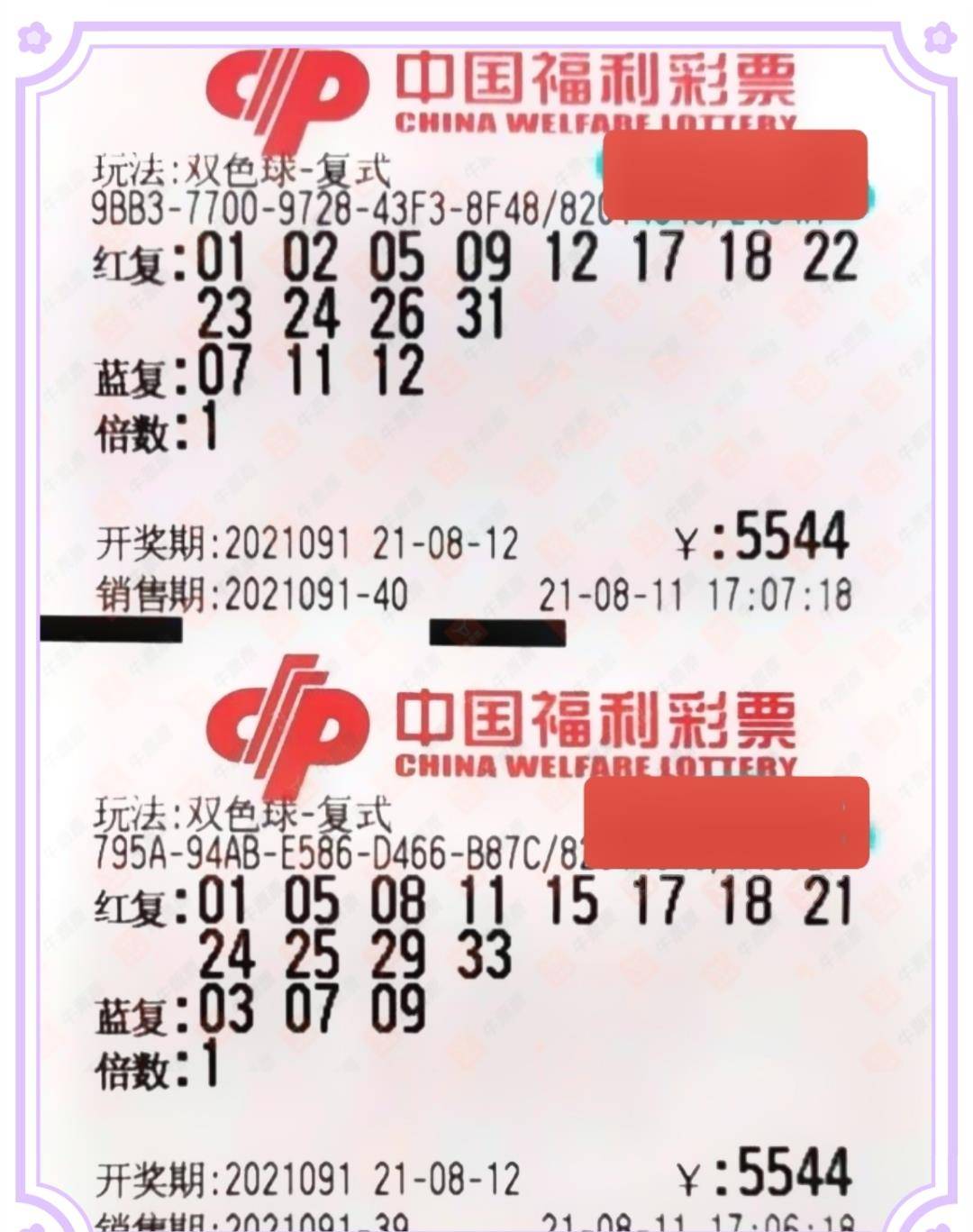 预测双色球125，理性与概率的较量