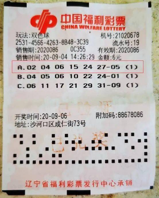 2019年双色球第85期开奖结果揭晓，幸运数字引领新一年的希望与梦想
