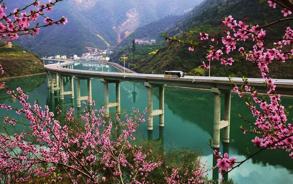 湖北12选5,数字背后的智慧与机遇