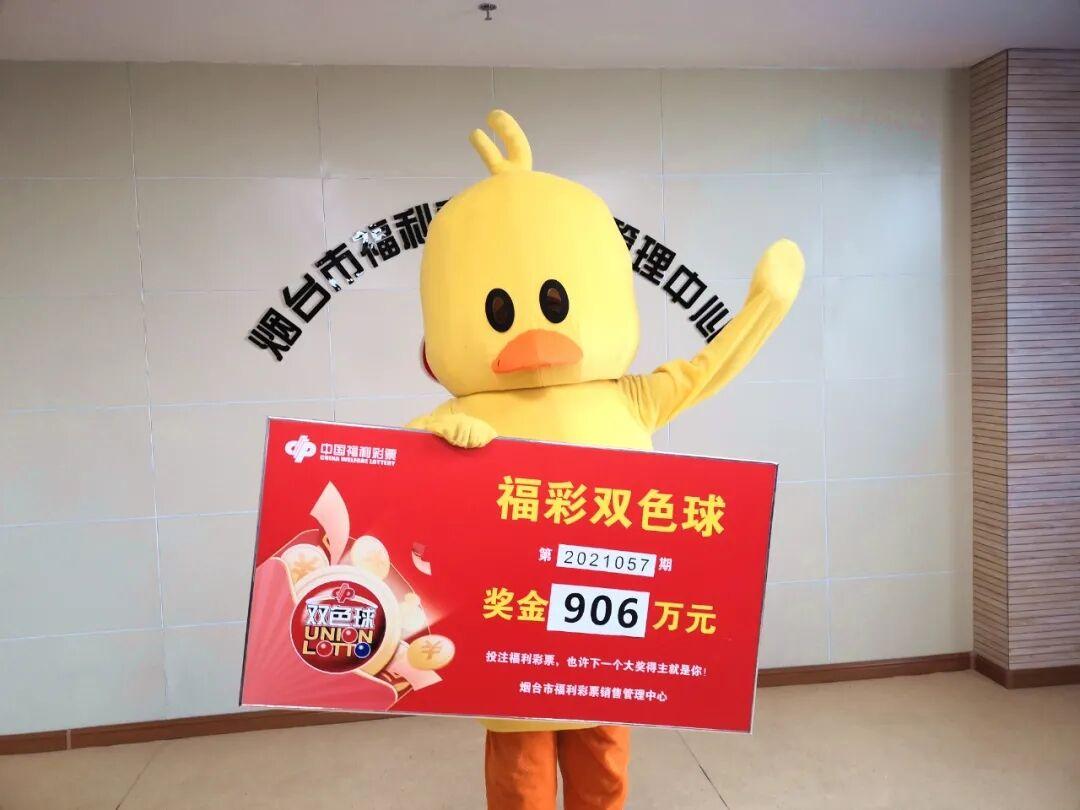 2019年双色球第4期开奖结果揭晓，幸运数字引领新年好运