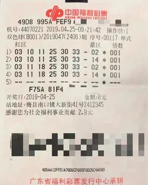 2019年双色球第4期开奖结果，幸运的碰撞与期待