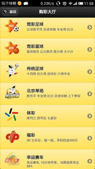 竞彩首页，探索数字彩票的无限魅力与理性投注之道