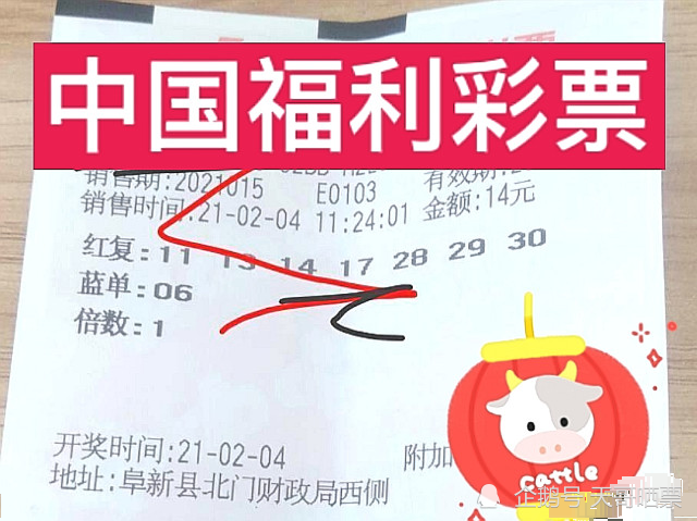 2017期双色球开奖揭晓，梦想与幸运的碰撞